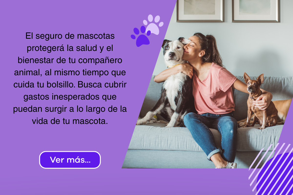 FOOTER MASCOTAS V2