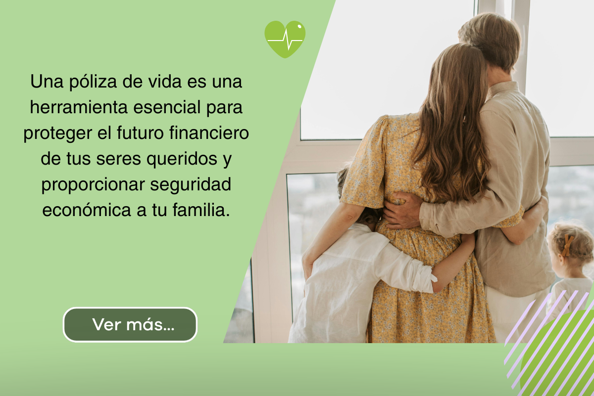 FOOTER VIDA V2